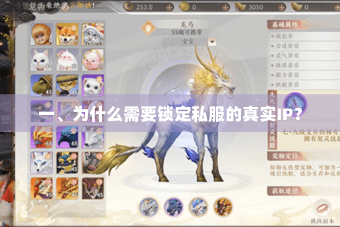一、为什么需要锁定私服的真实IP？