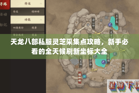 天龙八部私服灵芝采集点攻略，新手必看的全天候刷新坐标大全