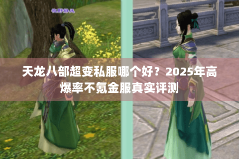 天龙八部超变私服哪个好?2025年高爆率不氪金服真实评测 天龙八部超变私服哪个好?2025年高爆率不氪金服真实评测