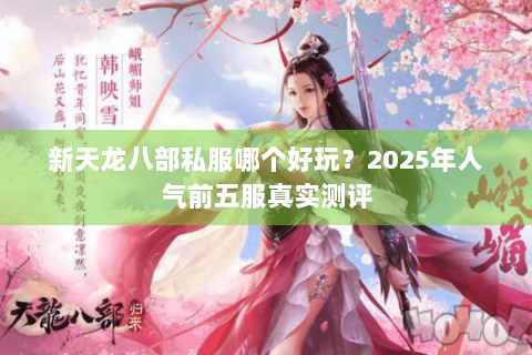 新天龙八部私服哪个好玩?2025年人气前五服真实测评 新天龙八部私服哪个好玩?2025年人气前五服真实测评
