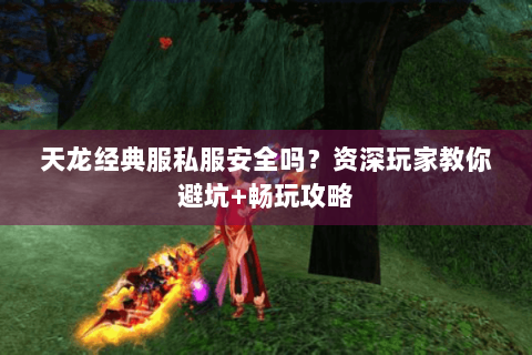 天龙经典服私服安全吗？资深玩家教你避坑+畅玩攻略