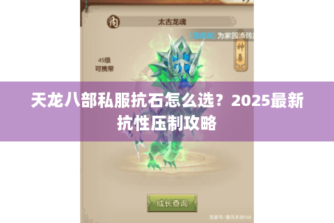 天龙八部私服抗石怎么选?2025最新抗性压制攻略 天龙八部私服抗石怎么选?2025最新抗性压制攻略
