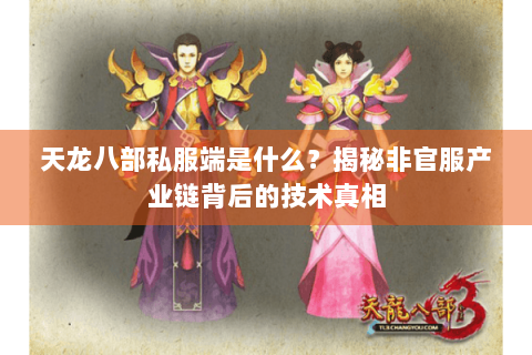 天龙八部私服端是什么？揭秘非官服产业链背后的技术真相