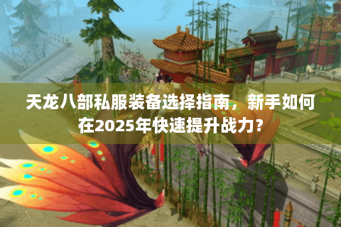 天龙八部私服装备选择指南，新手如何在2025年快速提升战力？