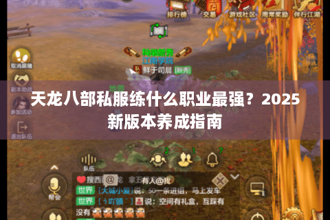 天龙八部私服练什么职业最强?2025新版本养成指南 天龙八部私服练什么职业最强?2025新版本养成指南