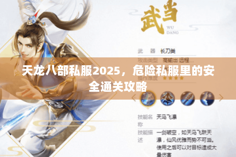 天龙八部私服2025，危险私服里的安全通关攻略