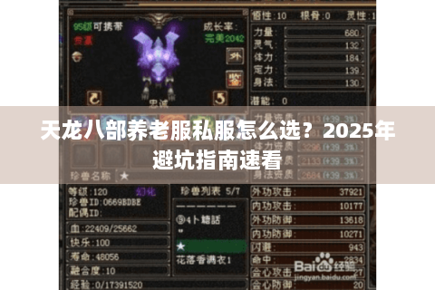 天龙八部养老服私服怎么选？2025年避坑指南速看