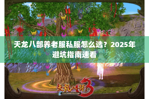 天龙八部养老服私服怎么选？2025年避坑指南速看