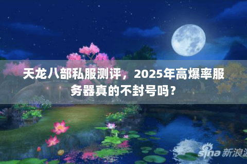 天龙八部私服测评，2025年高爆率服务器真的不封号吗？