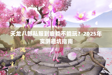 天龙八部私服到底能不能玩？2025年实测避坑指南