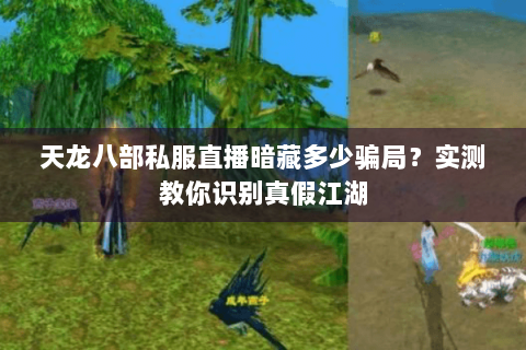 天龙八部私服直播暗藏多少骗局?实测教你识别真假江湖 天龙八部私服直播暗藏多少骗局?实测教你识别真假江湖