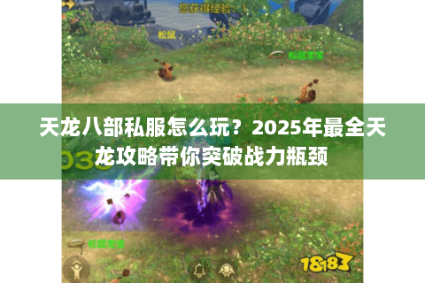 天龙八部私服怎么玩?2025年最全天龙攻略带你突破战力瓶颈 天龙八部私服怎么玩?2025年最全天龙攻略带你突破战力瓶颈