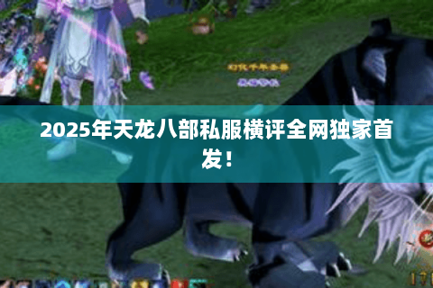 2025年天龙八部私服横评全网独家首发！