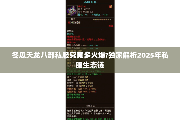 冬瓜天龙八部私服究竟多火爆?独家解析2025年私服生态链 冬瓜天龙八部私服究竟多火爆?独家解析2025年私服生态链