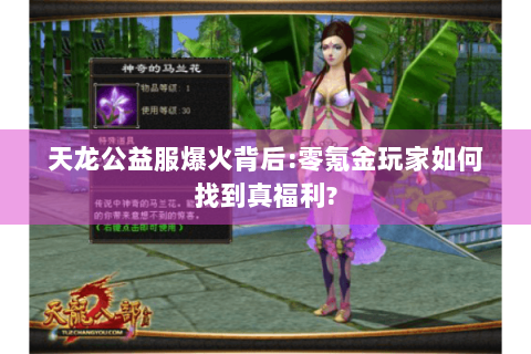 天龙公益服爆火背后:零氪金玩家如何找到真福利? 天龙公益服爆火背后:零氪金玩家如何找到真福利?