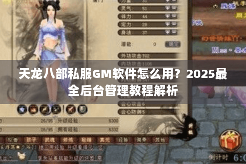 天龙八部私服GM软件怎么用？2025最全后台管理教程解析