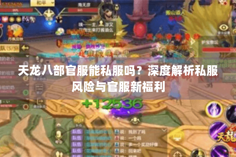 天龙八部官服能私服吗?深度解析私服风险与官服新福利 天龙八部官服能私服吗?深度解析私服风险与官服新福利