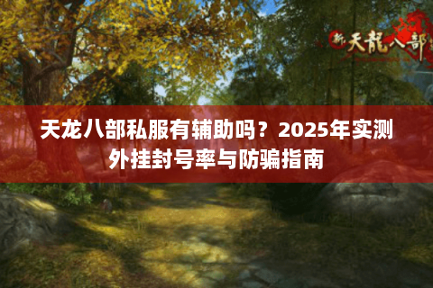 天龙八部私服有辅助吗？2025年实测外挂封号率与防骗指南