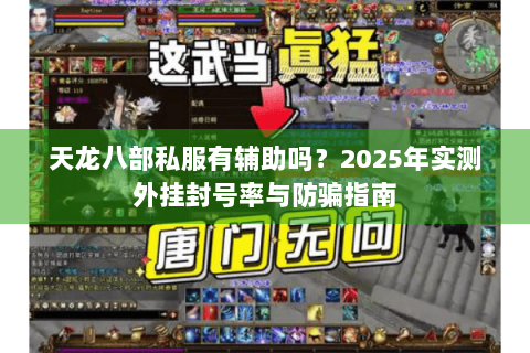 天龙八部私服有辅助吗？2025年实测外挂封号率与防骗指南