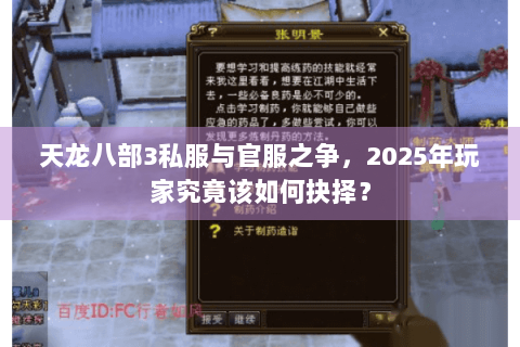 天龙八部3私服与官服之争,2025年玩家究竟该如何抉择? 天龙八部3私服与官服之争,2025年玩家究竟该如何抉择?