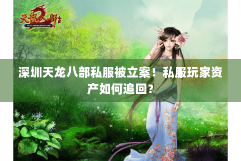 深圳天龙八部私服被立案!私服玩家资产如何追回? 深圳天龙八部私服被立案!私服玩家资产如何追回?