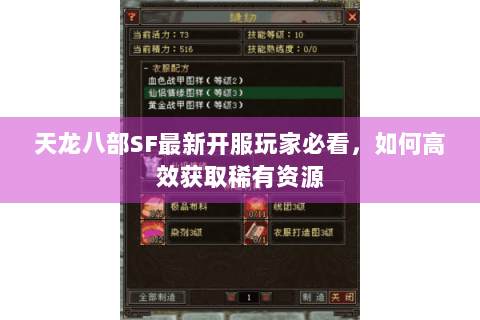 天龙八部SF最新开服玩家必看,如何高效获取稀有资源 天龙八部SF最新开服玩家必看,如何高效获取稀有资源