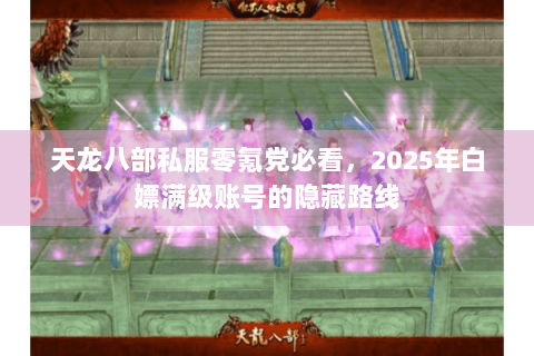 天龙八部私服零氪党必看，2025年白嫖满级账号的隐藏路线