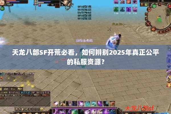 天龙八部SF开荒必看，如何辨别2025年真正公平的私服资源？