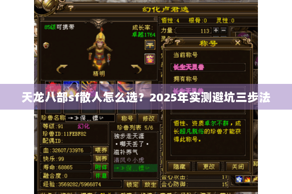 天龙八部sf散人怎么选?2025年实测避坑三步法 天龙八部sf散人怎么选?2025年实测避坑三步法