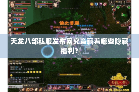 天龙八部私服发布网究竟藏着哪些隐藏福利? 天龙八部私服发布网究竟藏着哪些隐藏福利?