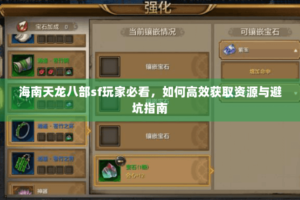 海南天龙八部sf玩家必看，如何高效获取资源与避坑指南