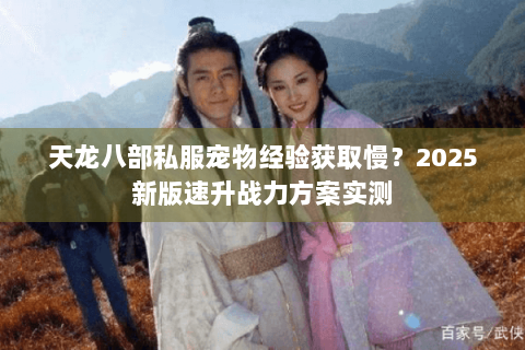 天龙八部私服宠物经验获取慢?2025新版速升战力方案实测 天龙八部私服宠物经验获取慢?2025新版速升战力方案实测