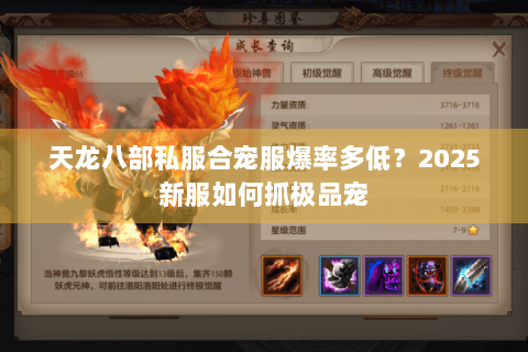 天龙八部私服合宠服爆率多低？2025新服如何抓极品宠