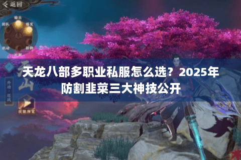 天龙八部多职业私服怎么选？2025年防割韭菜三大神技公开