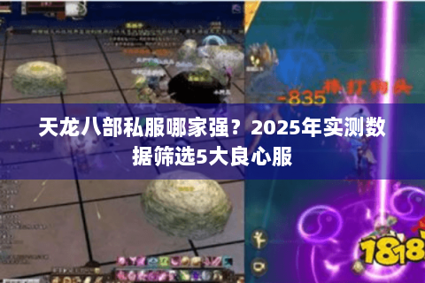 天龙八部私服哪家强?2025年实测数据筛选5大良心服 天龙八部私服哪家强?2025年实测数据筛选5大良心服