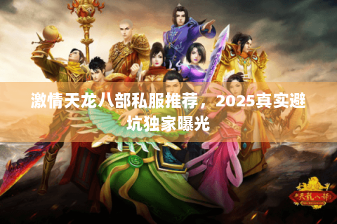 激情天龙八部私服推荐,2025真实避坑独家曝光 激情天龙八部私服推荐,2025真实避坑独家曝光