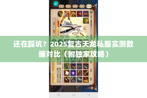 还在踩坑?2025复古天龙私服实测数据对比(附独家攻略) 还在踩坑?2025复古天龙私服实测数据对比(附独家攻略)