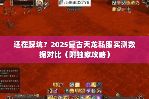 还在踩坑?2025复古天龙私服实测数据对比(附独家攻略) 还在踩坑?2025复古天龙私服实测数据对比(附独家攻略)