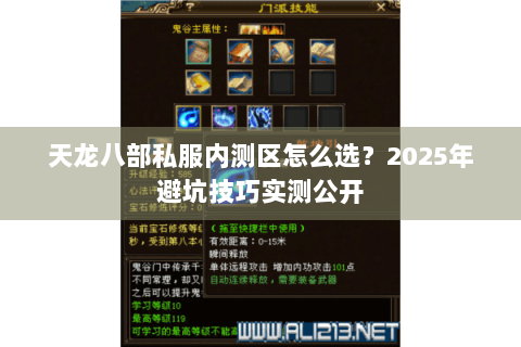 天龙八部私服内测区怎么选?2025年避坑技巧实测公开 天龙八部私服内测区怎么选?2025年避坑技巧实测公开