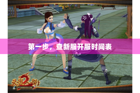 第一步，查新服开服时间表