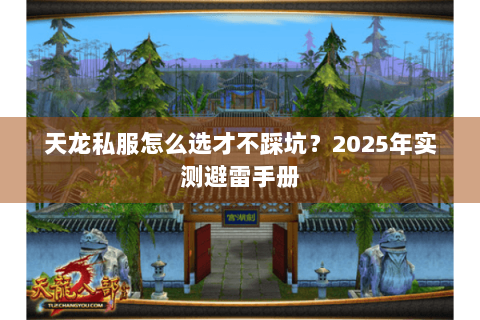 天龙私服怎么选才不踩坑？2025年实测避雷手册