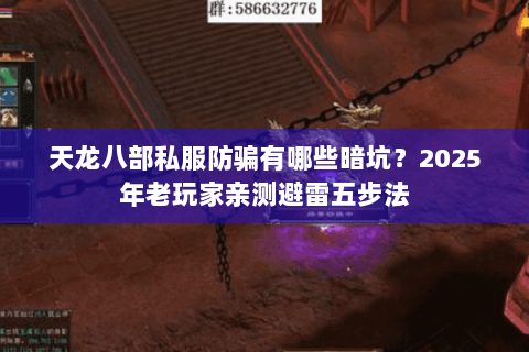 天龙八部私服防骗有哪些暗坑？2025年老玩家亲测避雷五步法