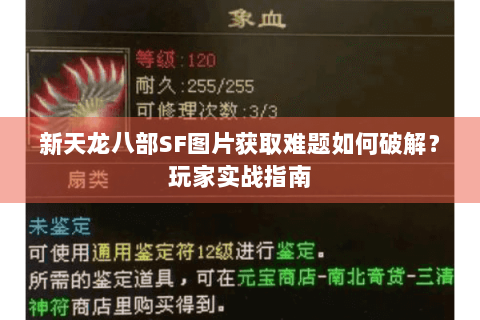 新天龙八部SF图片获取难题如何破解?玩家实战指南 新天龙八部SF图片获取难题如何破解?玩家实战指南