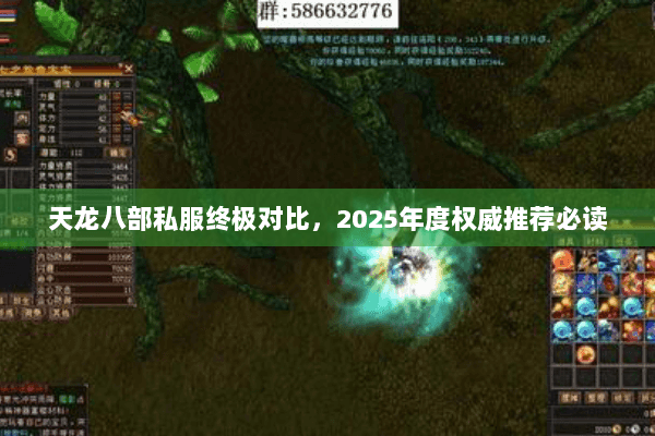 天龙八部私服终极对比，2025年度权威推荐必读