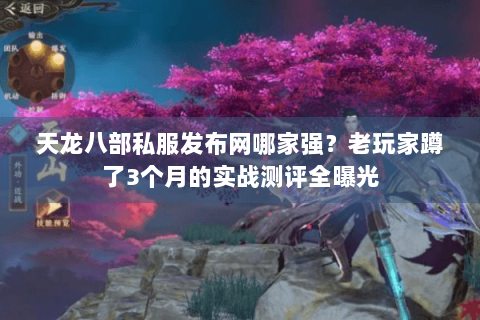 天龙八部私服发布网哪家强？老玩家蹲了3个月的实战测评全曝光