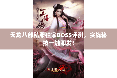 天龙八部私服独家BOSS评测,实战秘技一触即发! 天龙八部私服独家BOSS评测,实战秘技一触即发!