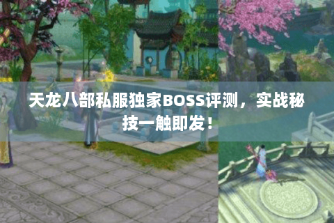 天龙八部私服独家BOSS评测,实战秘技一触即发! 天龙八部私服独家BOSS评测,实战秘技一触即发!