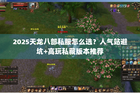 2025天龙八部私服怎么选?人气站避坑+高玩私藏版本推荐 2025天龙八部私服怎么选?人气站避坑+高玩私藏版本推荐