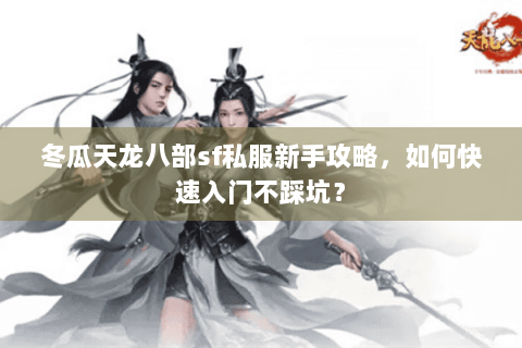 冬瓜天龙八部sf私服新手攻略,如何快速入门不踩坑? 冬瓜天龙八部sf私服新手攻略,如何快速入门不踩坑?