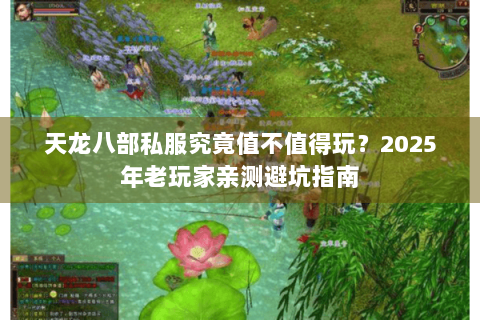 天龙八部私服究竟值不值得玩？2025年老玩家亲测避坑指南